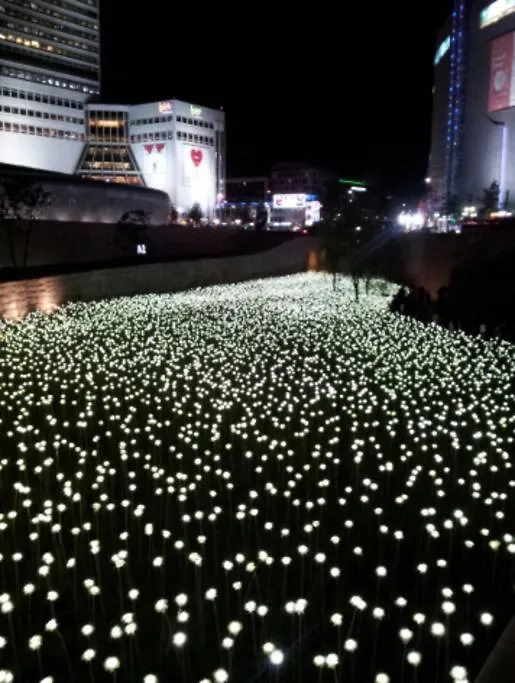 Dongdaemun W House - R414 Apartment Seoul
